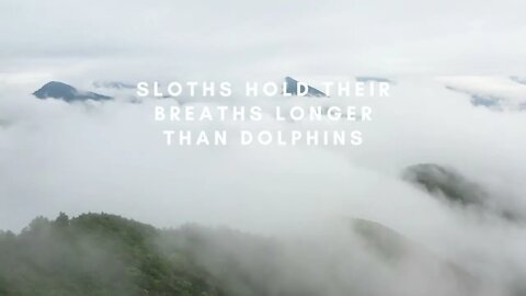 30 Seconds of Random Facts for The Curious Mind Vid#7 #Shorts