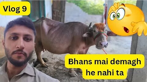 🕌💫 Hazrat Ibrahim(A.S) Ki Sunnat | Eid Mubarak🌙🎉 funny vlog #viral #eidvlog