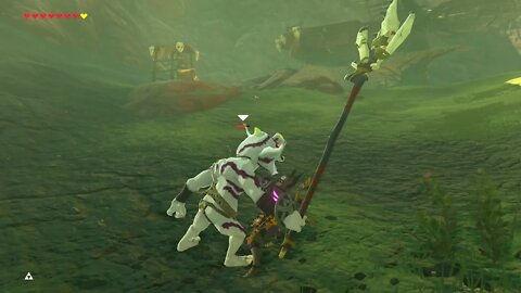 Breath of the Wild Master Mode 64