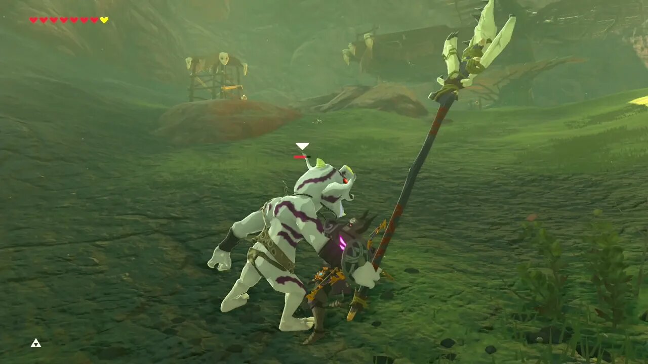 Breath of the Wild Master Mode 64