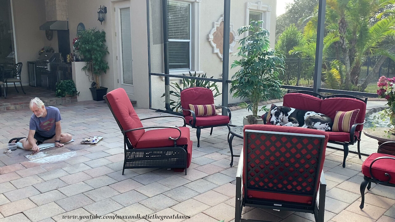 Sleepy Great Dane Supervises While Artist Faux Paints Pavers