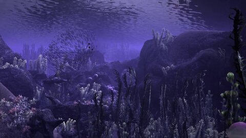 The Colors of the Ocean Scene