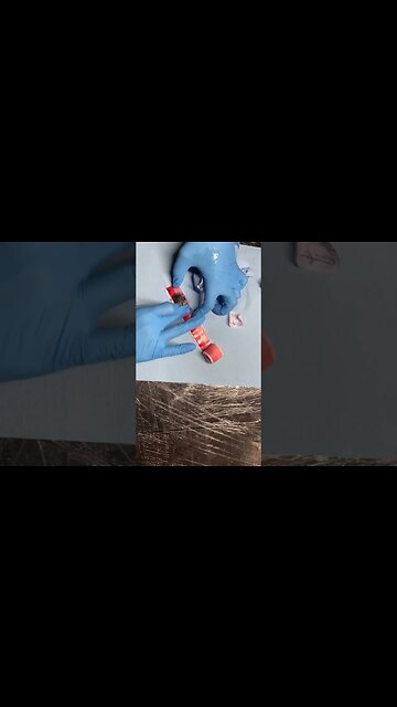 Can We Tattoo A Fruit Roll Up?