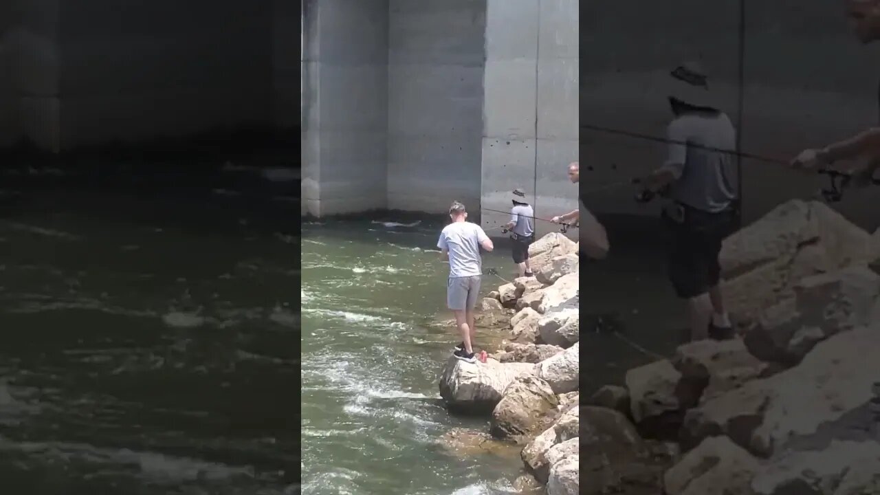 Striped Bass at Nickajack Falls #outdoors #fishcatching