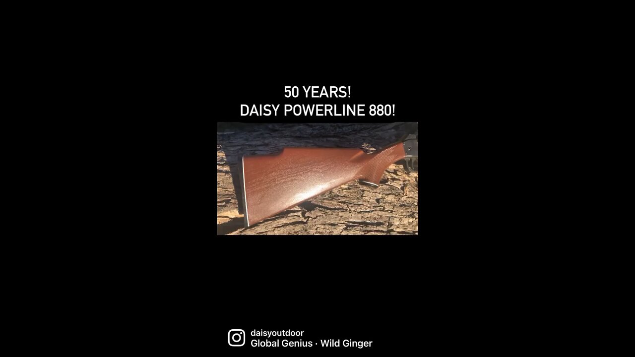 Daisy Powerline 880 Turns 50 Years Old