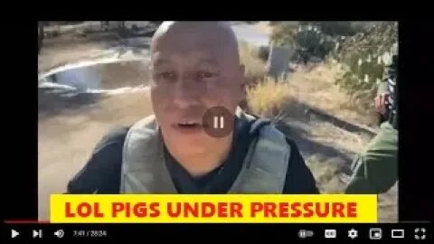 Pigs Under Pressure Channel Gives Feds A Hard Time - Good For Him