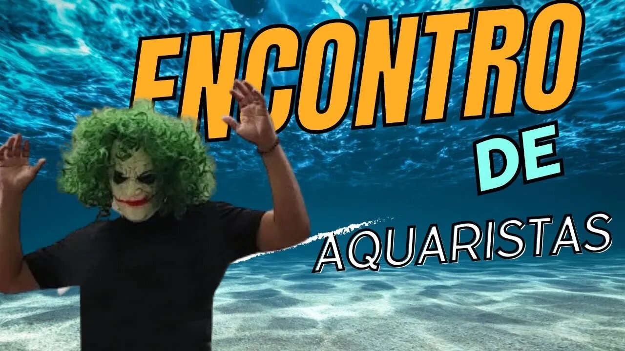 ENCONTRO DE AQUARISTAS ANIVERSÁRIO MAR & MAR AQUÁRIOS GOIÂNIA