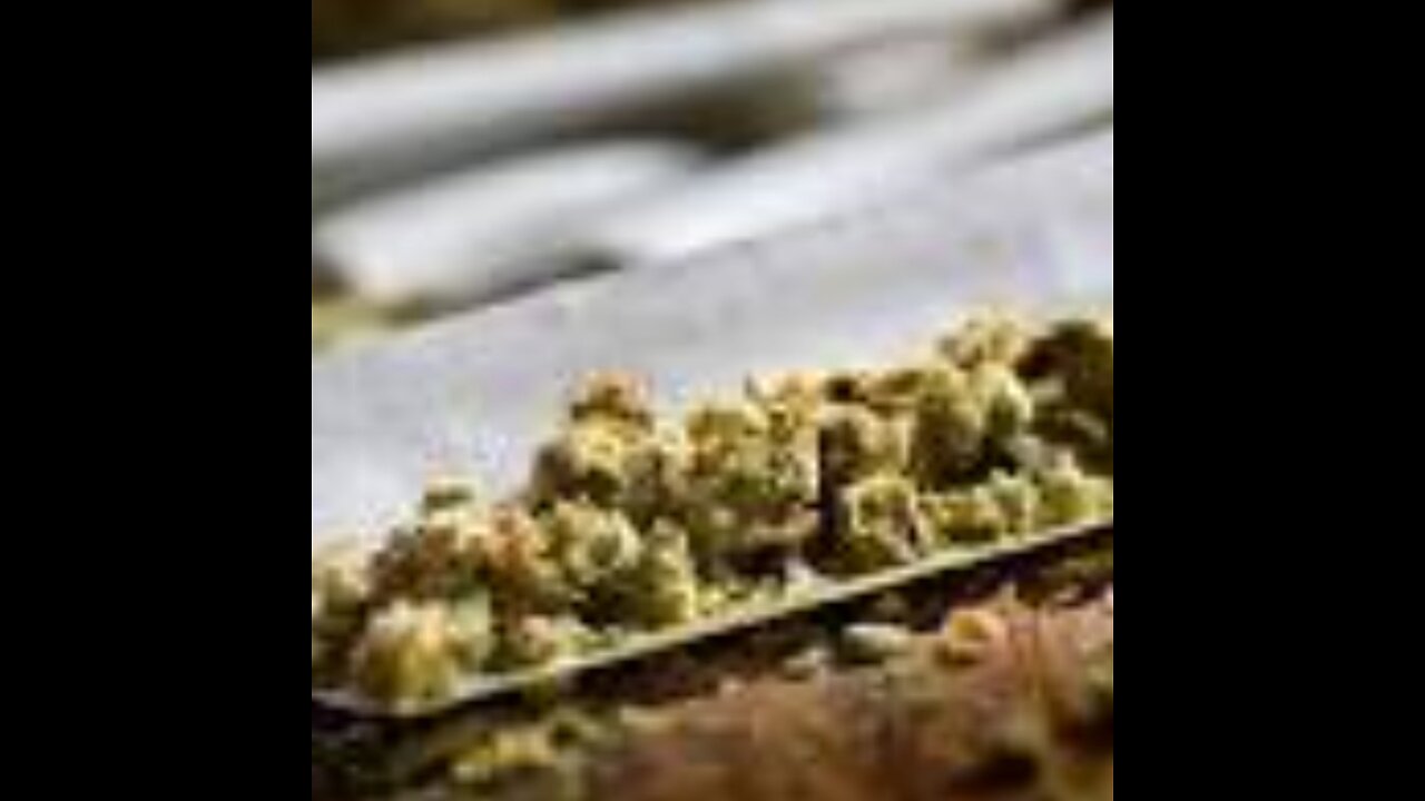 Michigan Discusses Law That Allows Kindergartners To Use Cannabis And CBD Oil