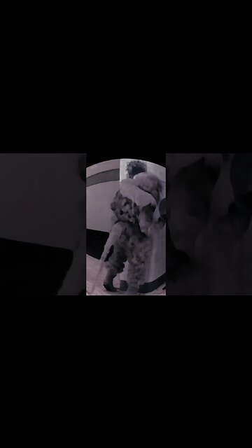 OH MY! something's off here..🤔🤔 #shorts