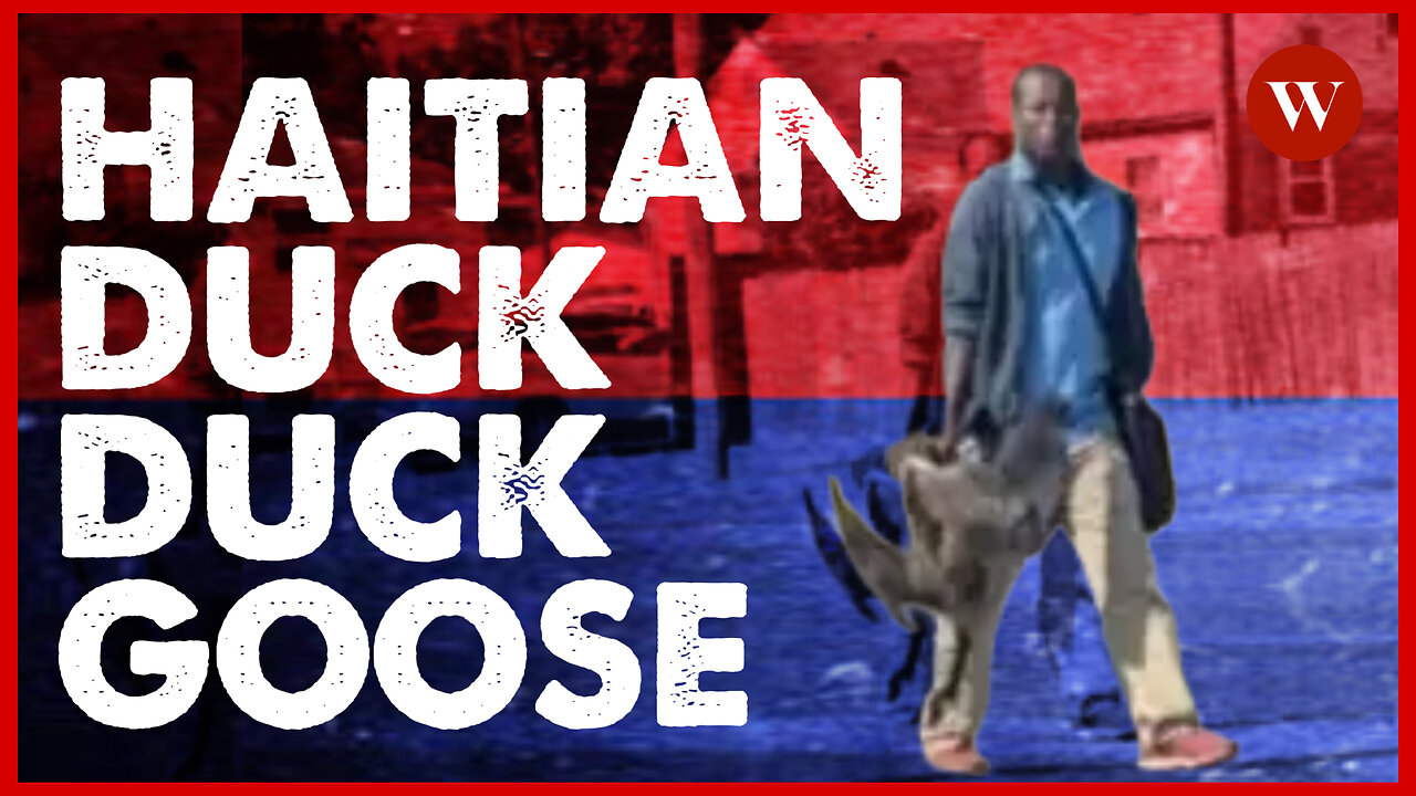 Duck, Duck, GOOSE! Why are Haitian migrants eating neighborhood animals?!