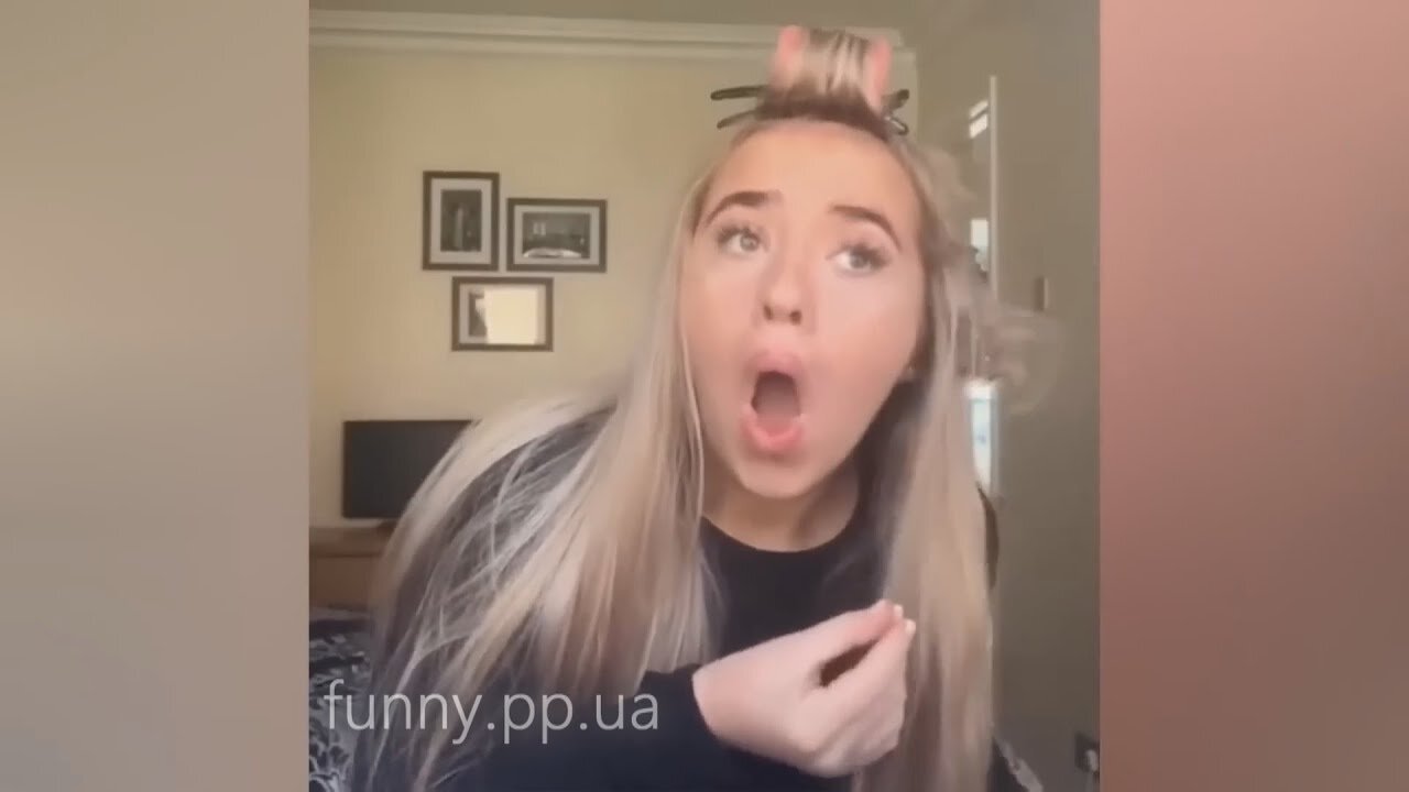 Funny video compilation 31 / best jokes with people and animals