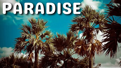 EuGeniusMusic - Paradise #Chill Music [FreeRoyaltyBackgroundMusic]