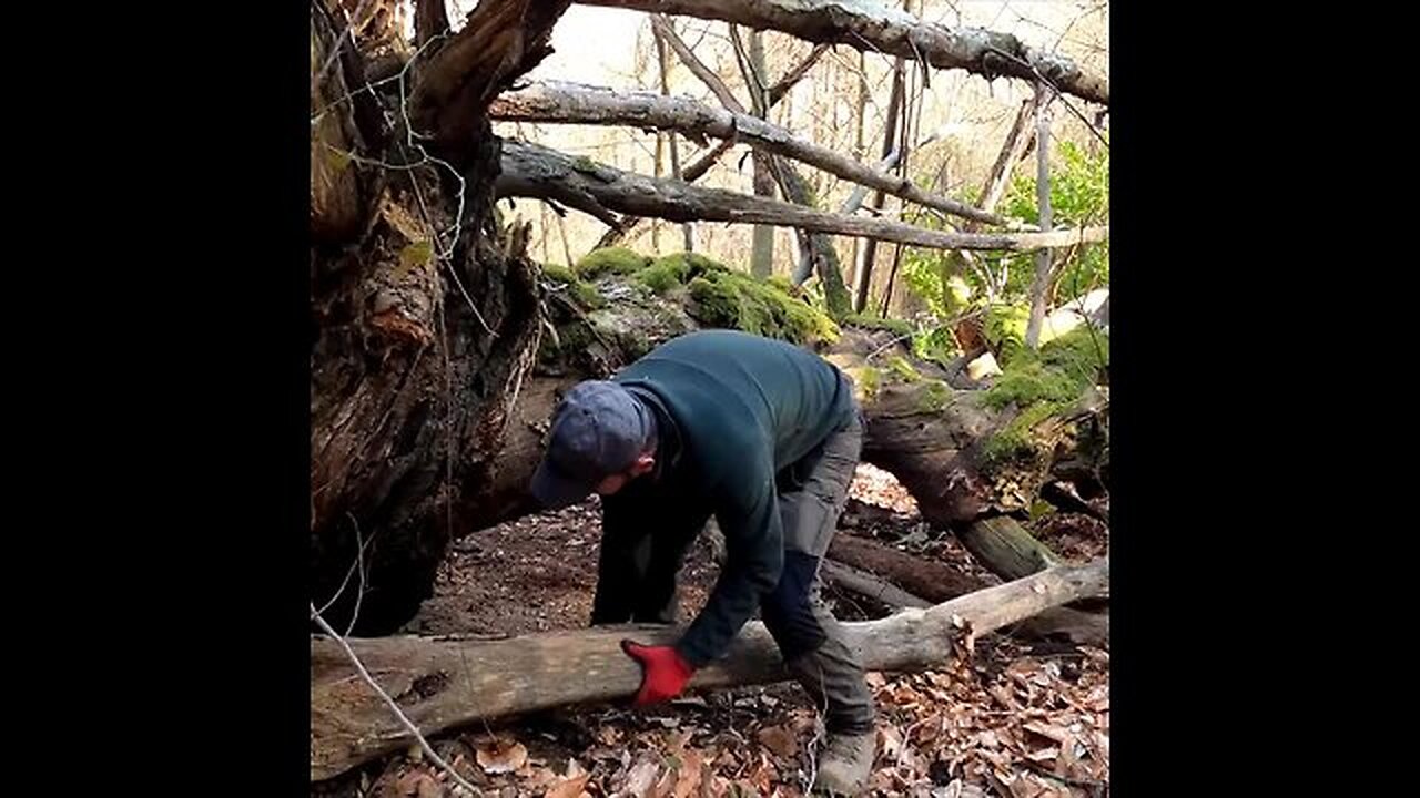 Wild Camping in Primitive Survival Shelter