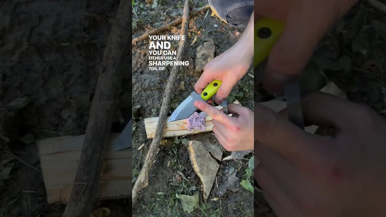 How To Start A Fire The FASTEST Way Possible | Shed Knives #shedknives #shorts