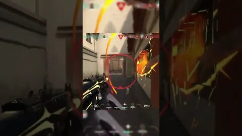 Valorant 6pc and a biscuit