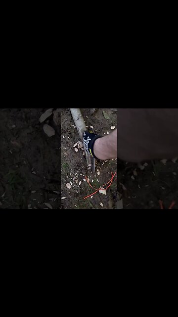 Comment "⚔️" if you like knives | Shed Knives #shedknives #shorts