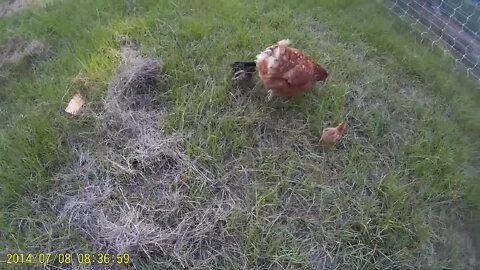 Update on the farm