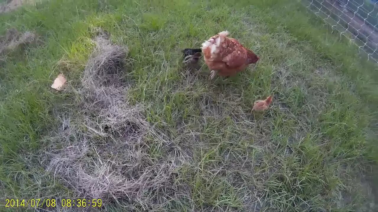 Update on the farm