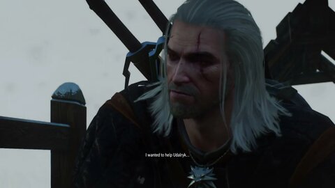 The Witcher 3: Wild Hunt Part 111-Asking For Pain