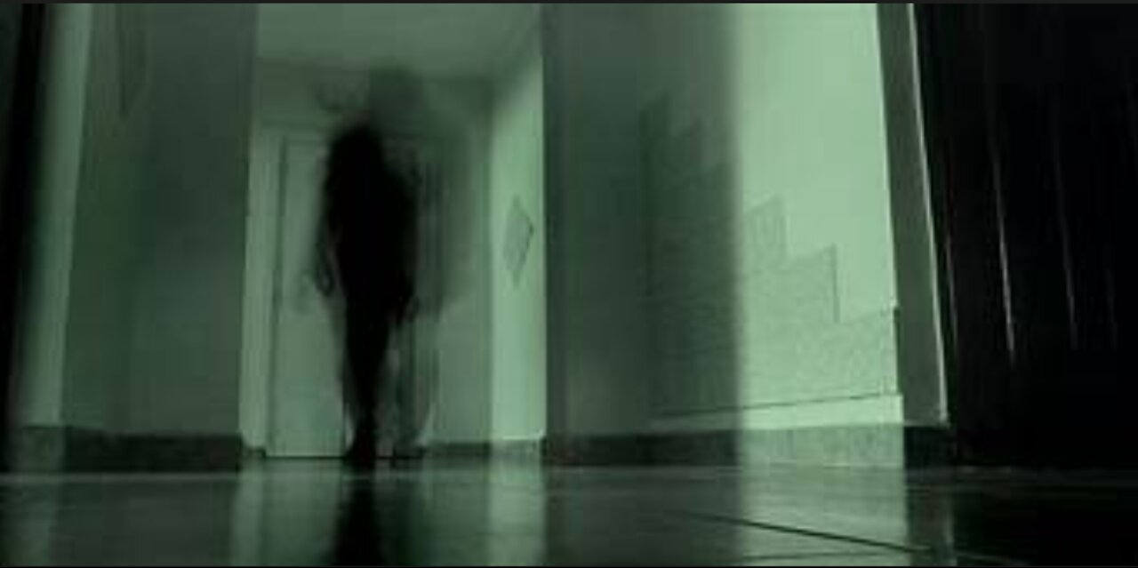 Cryptid Tales and Stories