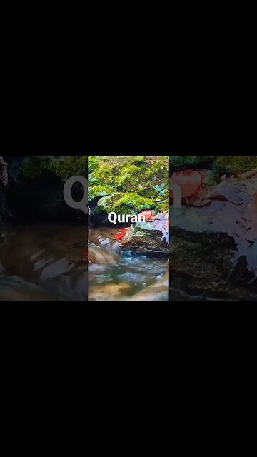 Discover the Hidden Gems of Surah Zariyat Ayat 43-51: A Journey of Self-Reflection