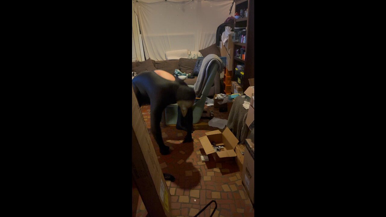 Pisscr0ww interference