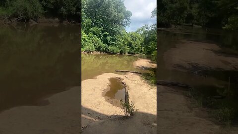 Happy Monday! Fishing after doctor appointment #fishing #outdoors #nature