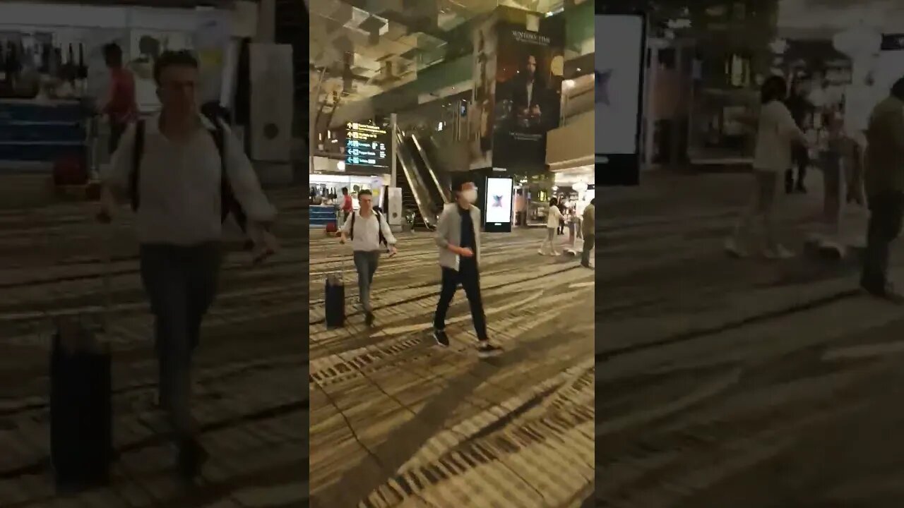 #etsukojunio #etsukofans #fransiscaofficial #teamfransisca #沉连清 #fransisca #fransiscametaworld