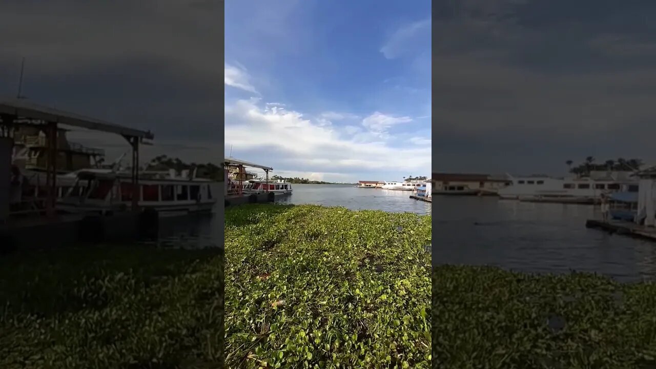 Cacau Pireira AM