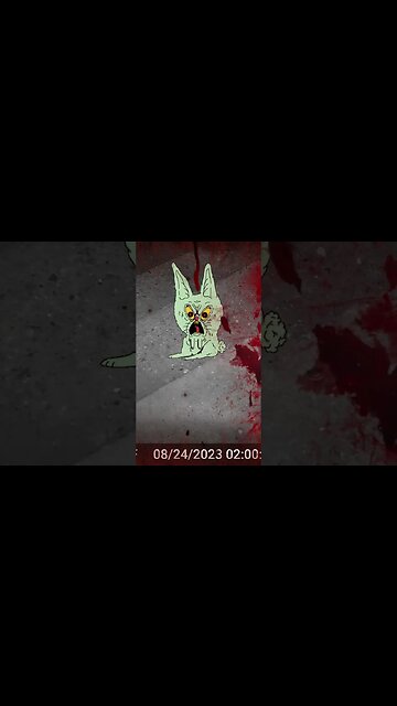 What The Heck Is On My Porch! 😬