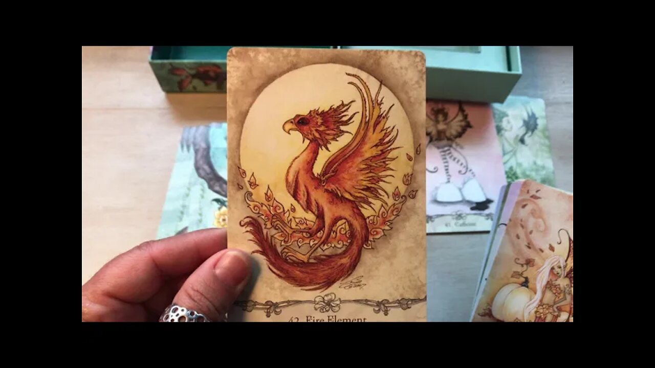 Unboxing Fairy Wisdom Oracle by Amy Brown and Nancy Brown