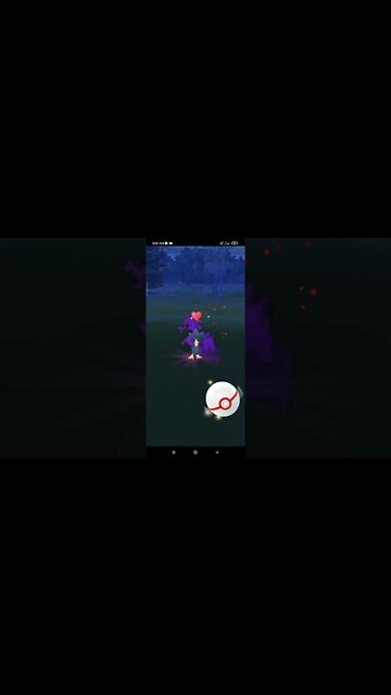 Pokémon GO-Shadow Murkrow