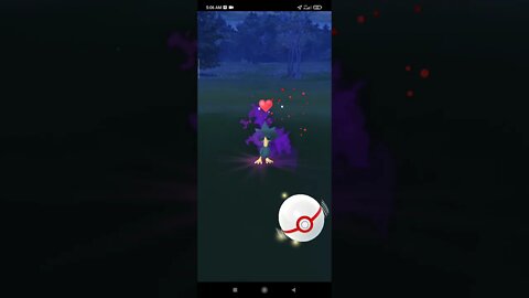 Pokémon GO-Shadow Murkrow
