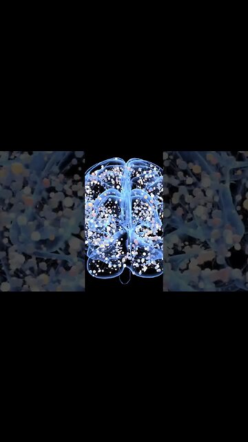 The Science of Sleep: How Your Brain Works While You're Sleeping .#shorts #scienceofsleep #science