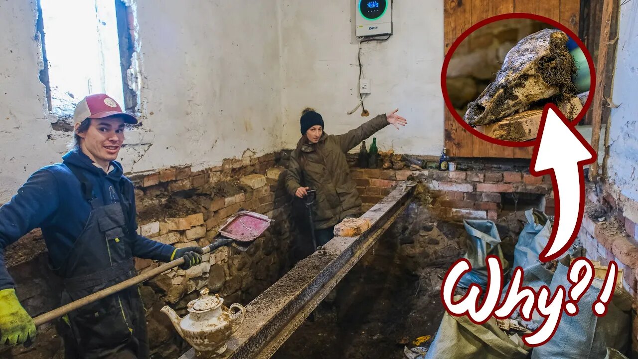 What we FOUND in our 200+ Year OLD Basement?!