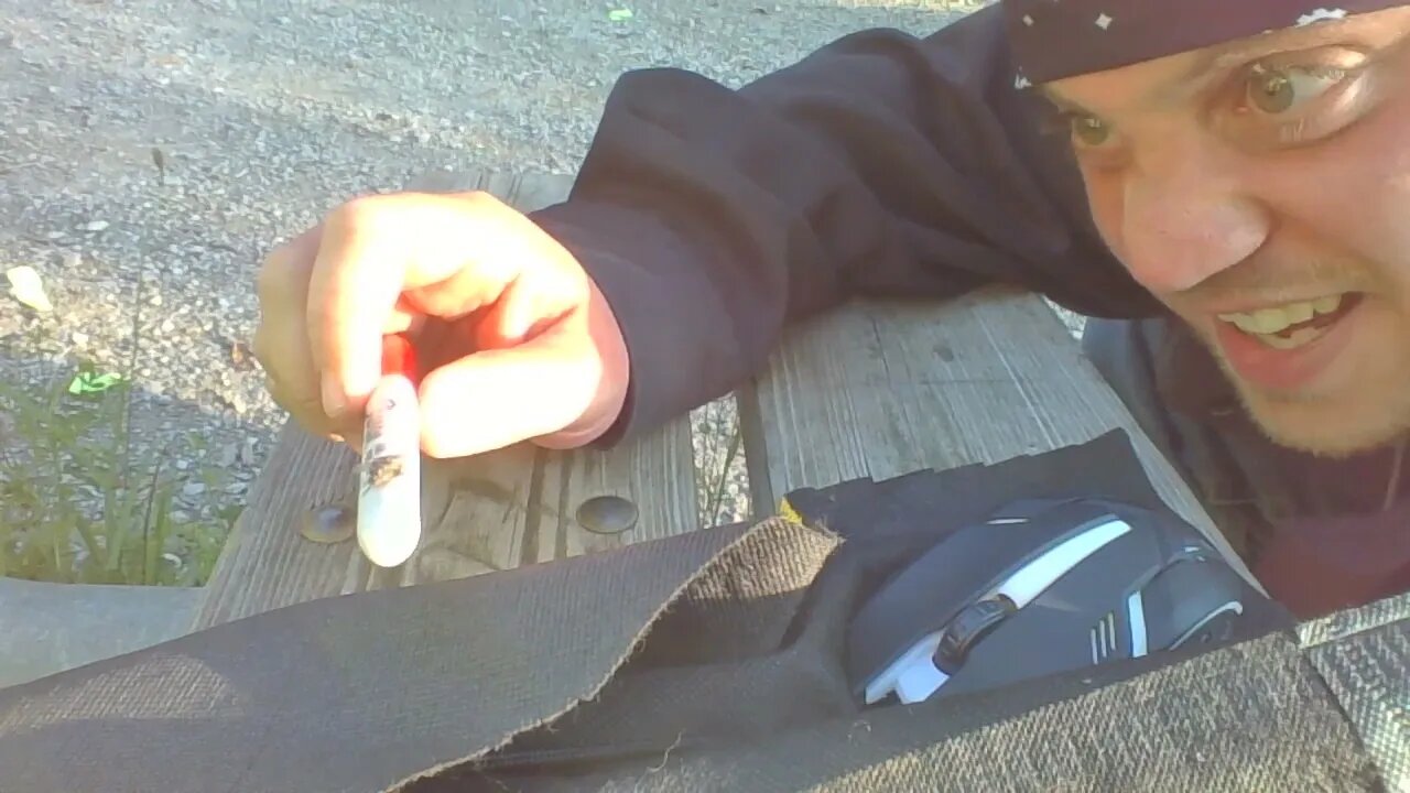 My Pet Fly