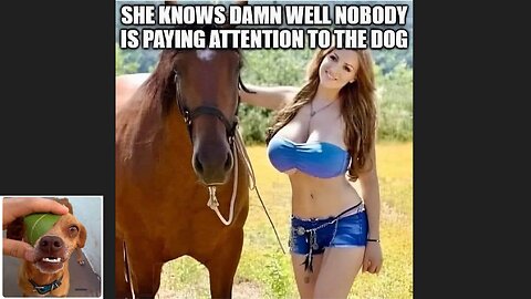 Memes That Will 99.899% Make You Laugh. (e124)