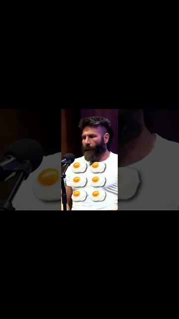 What Dan Bilzerians Eats 🍲