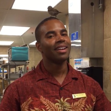 Hilarious Bird Poops On A Man's Head