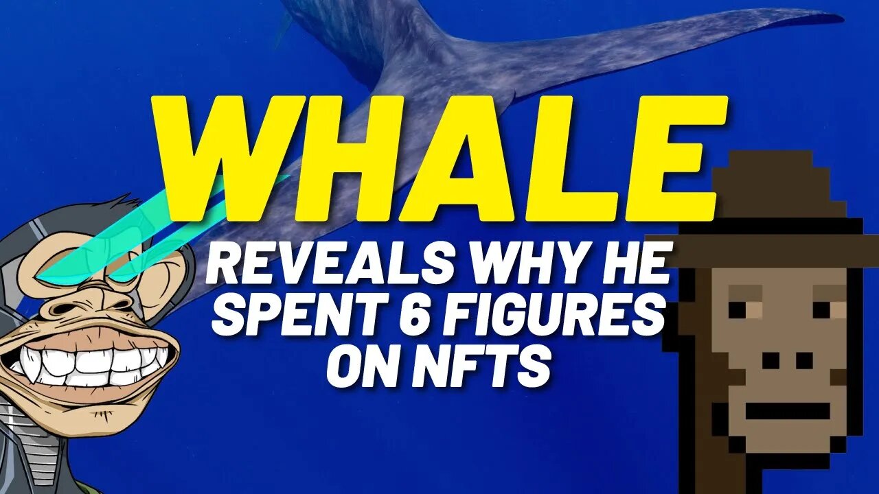 Crypto Whale Reveals Why He Spent $500,000 on NFTs