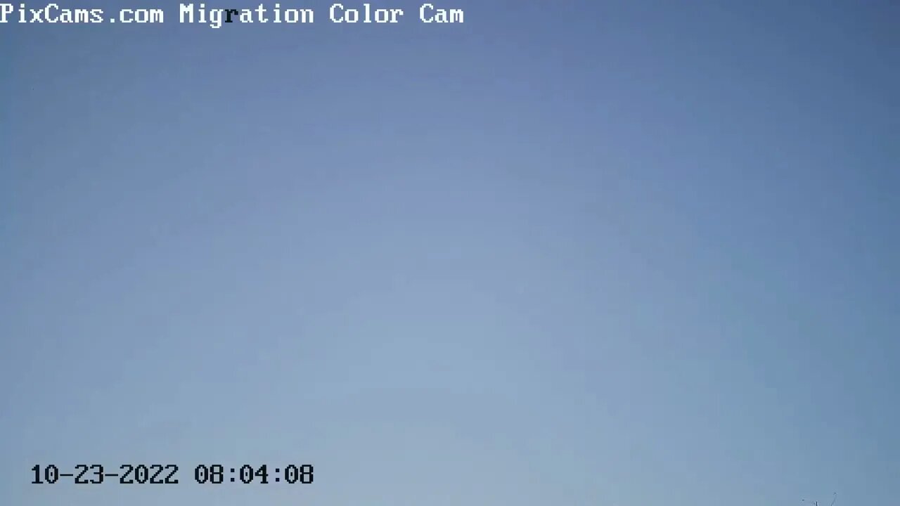Crows Flying Optical & Thermal Camera Combined 10/232022