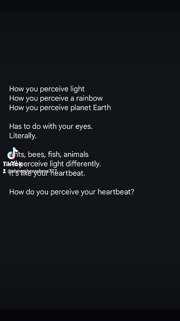 🙈👁️🕵️👀🧿👁️‍🗨️😭🙈