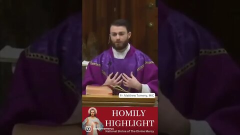 Holy Mass is like a "mini Advent" #homily #homilyhighlight #NationalShrineofTheDivineMercy