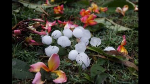 Une terrible tempête de grêle fait peur aux habitants