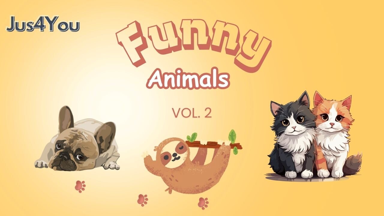 Funny Animals vol.2 #comedy #cat #dog