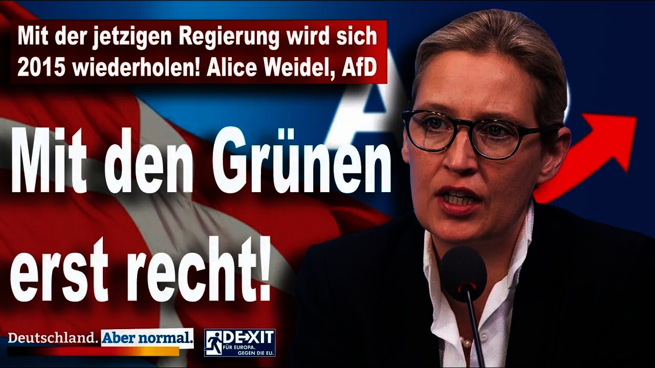 Mit der jetzigen Regierung wird sich 2015 wiederholen, mit den Grünen erst recht, Alice Weidel, AfD