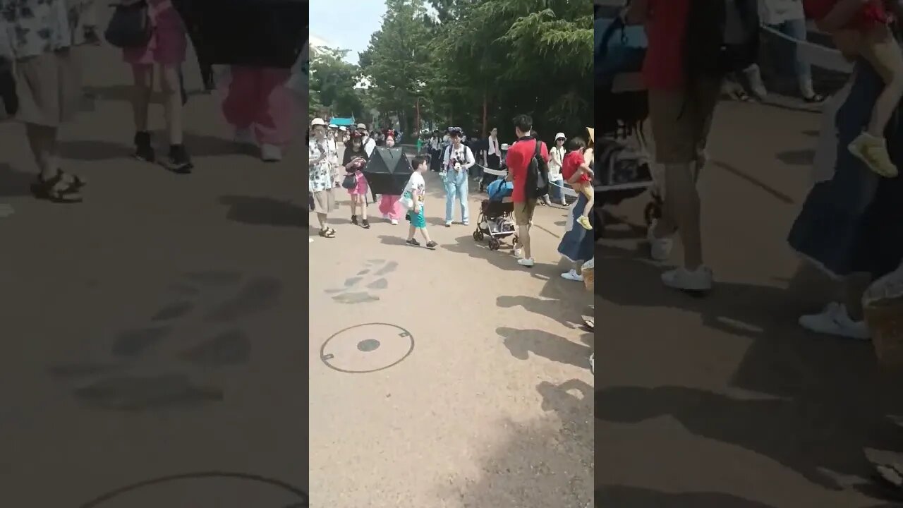 #etsukojunio #etsukofans #fransiscaofficial #teamfransisca #沉连清 #fransisca #fransiscametaworld