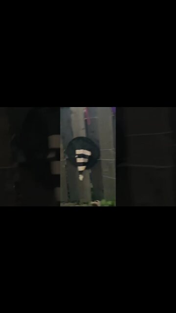 Outside one of those preschool things you send toddlers to. It’s a bit scary for toddlers.