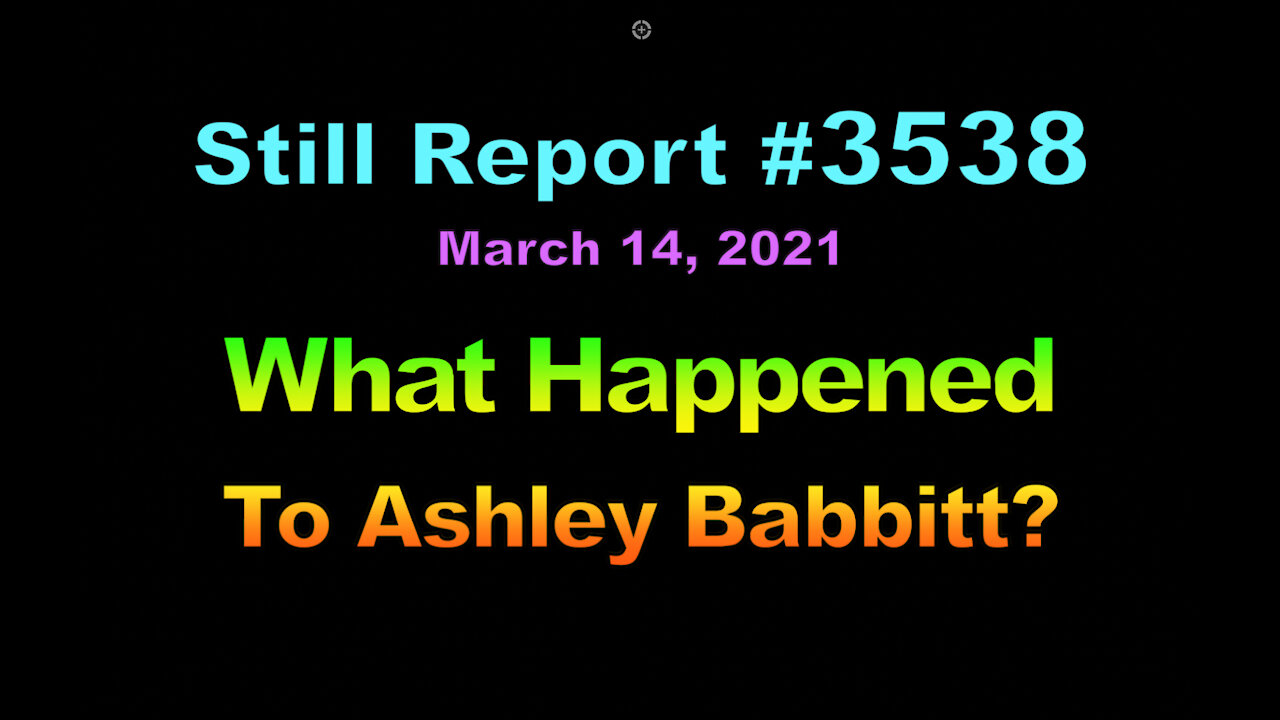 What Happened to Ashley Babbitt?, 3538