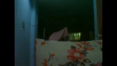 Live Stream : LS fo my WH Pa Love Love Po